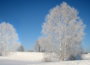 вакансии асбест